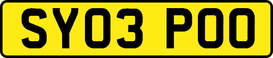 SY03POO