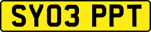 SY03PPT