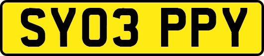 SY03PPY