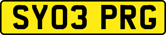 SY03PRG