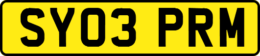 SY03PRM