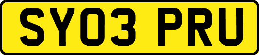 SY03PRU