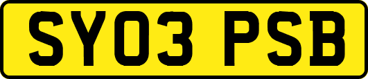 SY03PSB