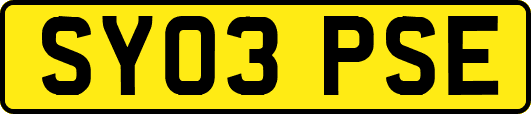 SY03PSE