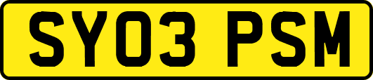 SY03PSM