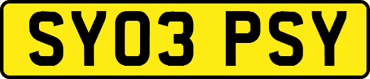 SY03PSY