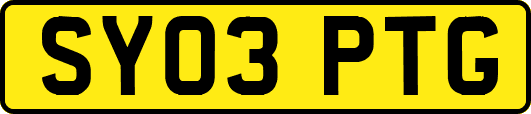 SY03PTG
