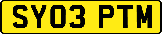 SY03PTM