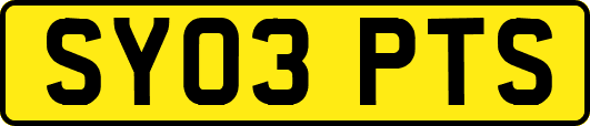 SY03PTS