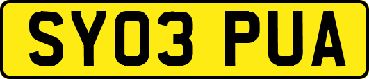 SY03PUA