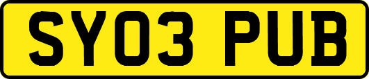 SY03PUB