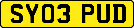 SY03PUD