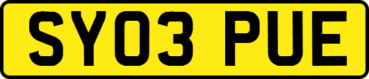SY03PUE