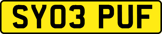 SY03PUF