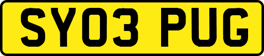SY03PUG