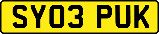 SY03PUK