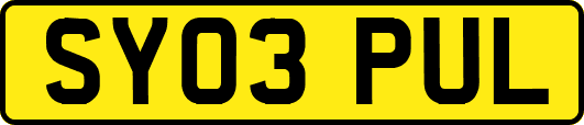 SY03PUL