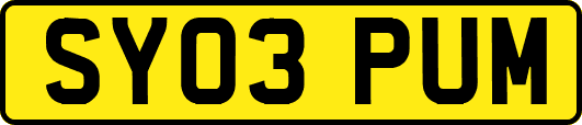 SY03PUM