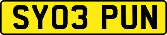 SY03PUN