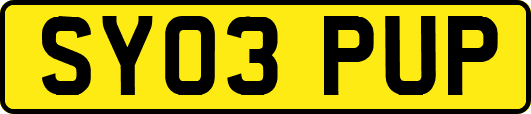 SY03PUP