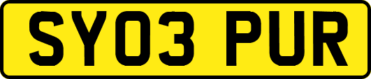 SY03PUR