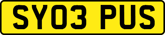 SY03PUS