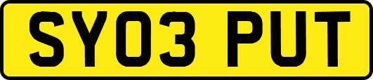 SY03PUT