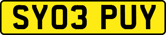 SY03PUY