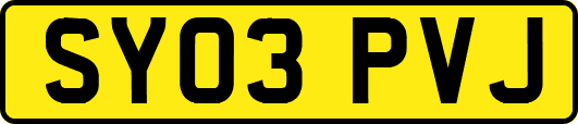 SY03PVJ