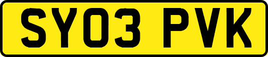 SY03PVK