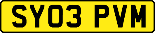 SY03PVM