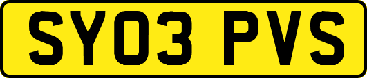 SY03PVS