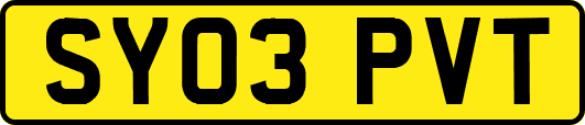 SY03PVT