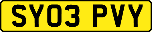SY03PVY