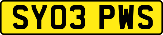 SY03PWS