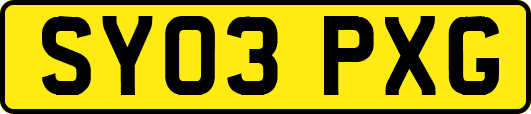 SY03PXG