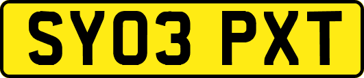 SY03PXT
