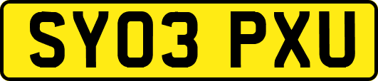 SY03PXU