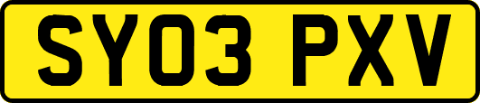 SY03PXV