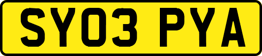 SY03PYA