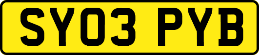 SY03PYB