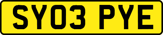 SY03PYE