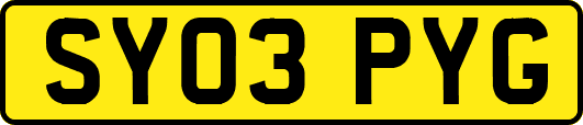 SY03PYG