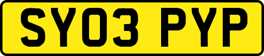 SY03PYP