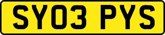 SY03PYS