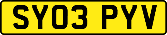 SY03PYV
