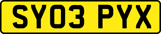 SY03PYX