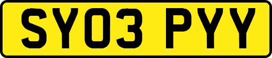 SY03PYY