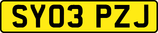 SY03PZJ