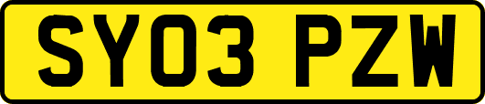 SY03PZW